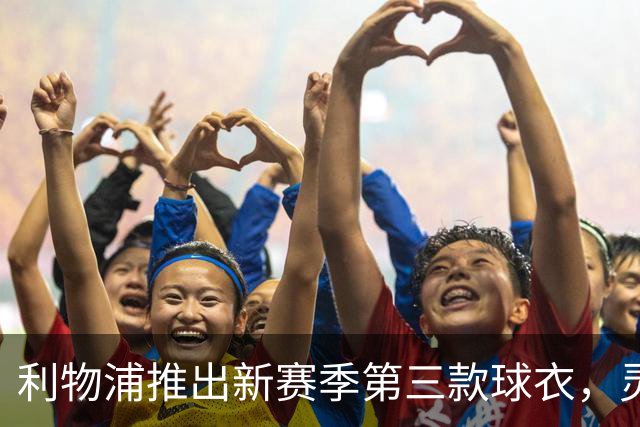 利物浦推出新赛季第三款球衣，灵感源自经典的“欧洲之夜